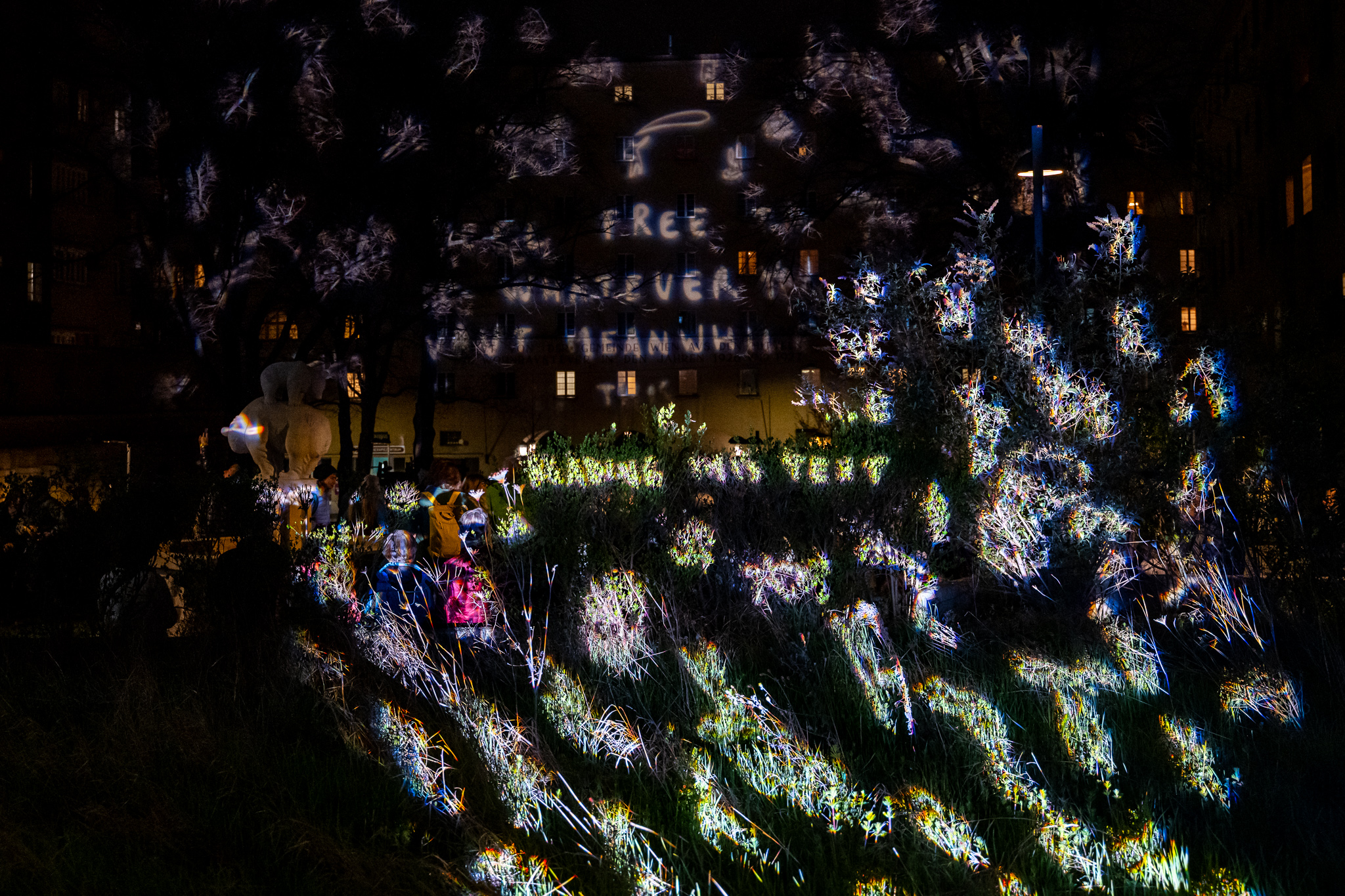 Wiener Lichtblicke 2026