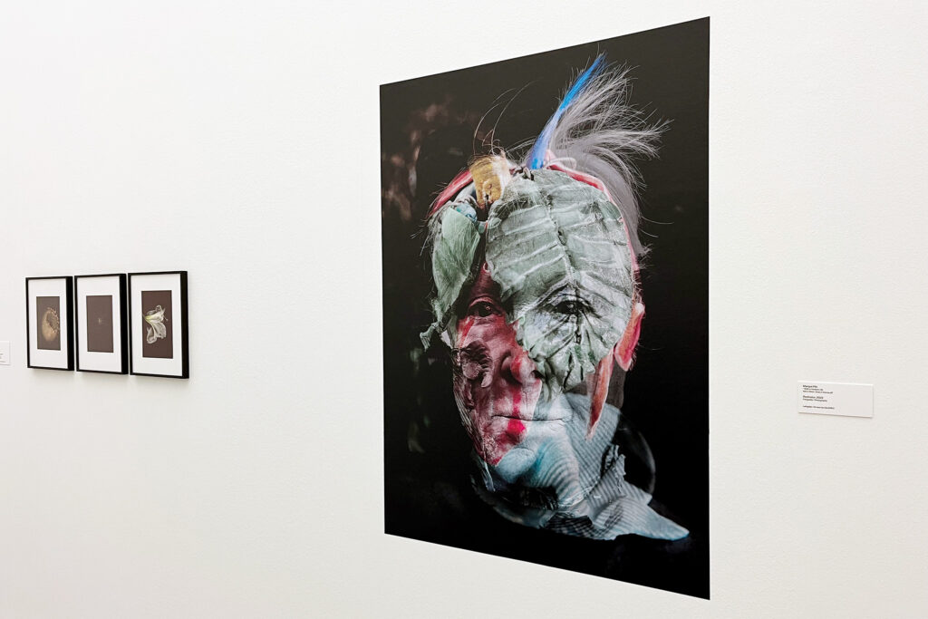 Margot Pilz - Restnatur - Touch Nature - Lentos - 2025