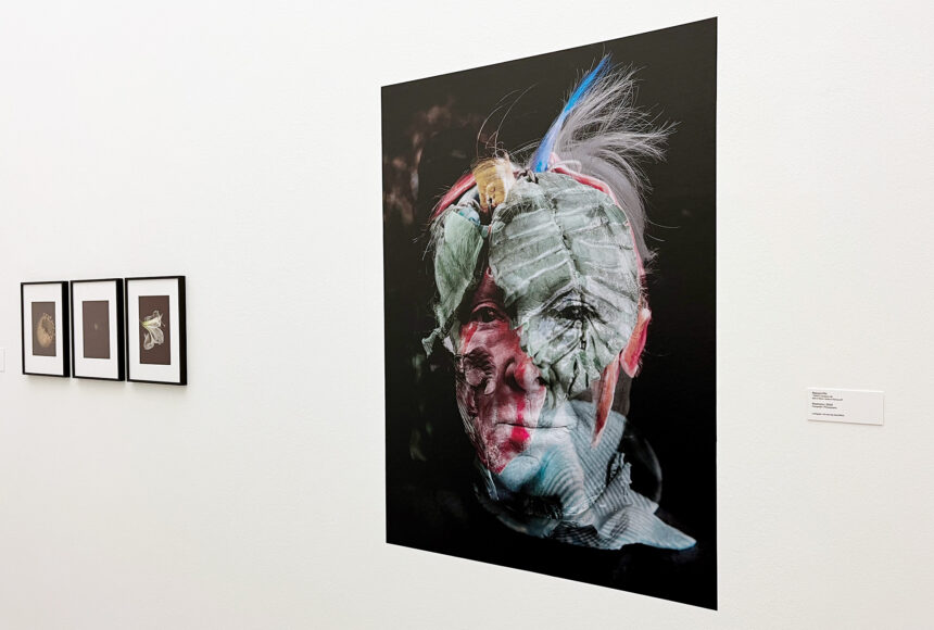 Margot Pilz - Restnatur - Touch Nature - Lentos - 2025